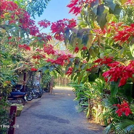 Tribal Village Homestay & Trekking Banlung Luaran gambar