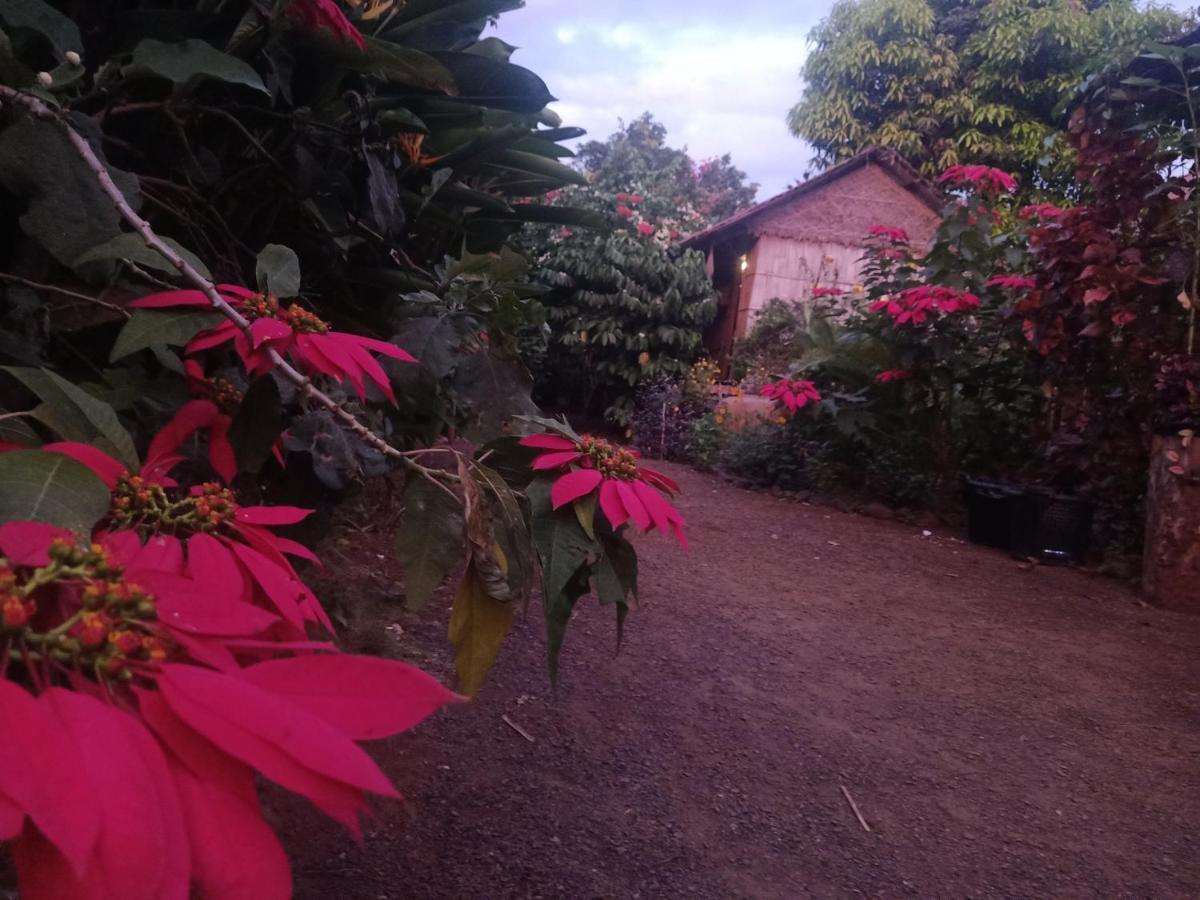 Tribal Village Homestay & Trekking Banlung Luaran gambar