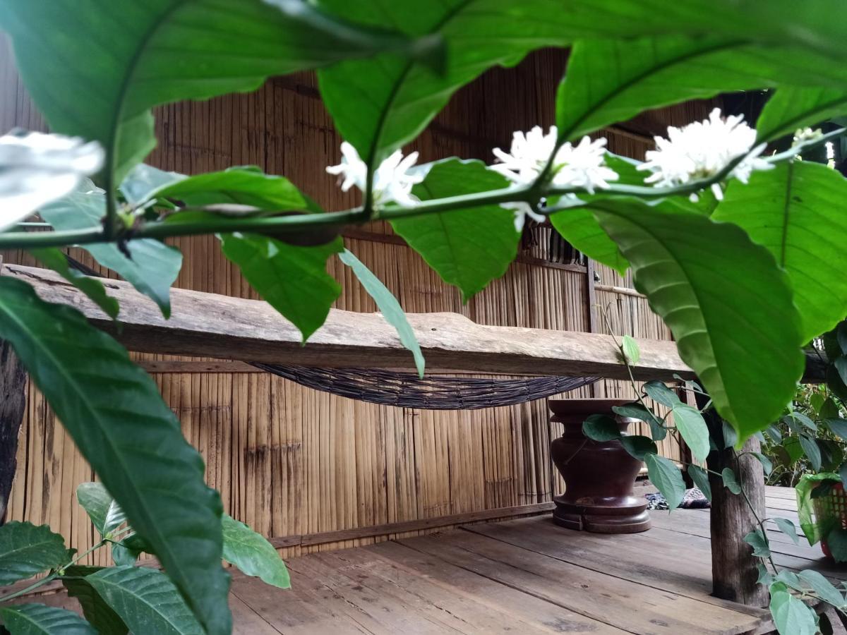 Tribal Village Homestay & Trekking Banlung Luaran gambar