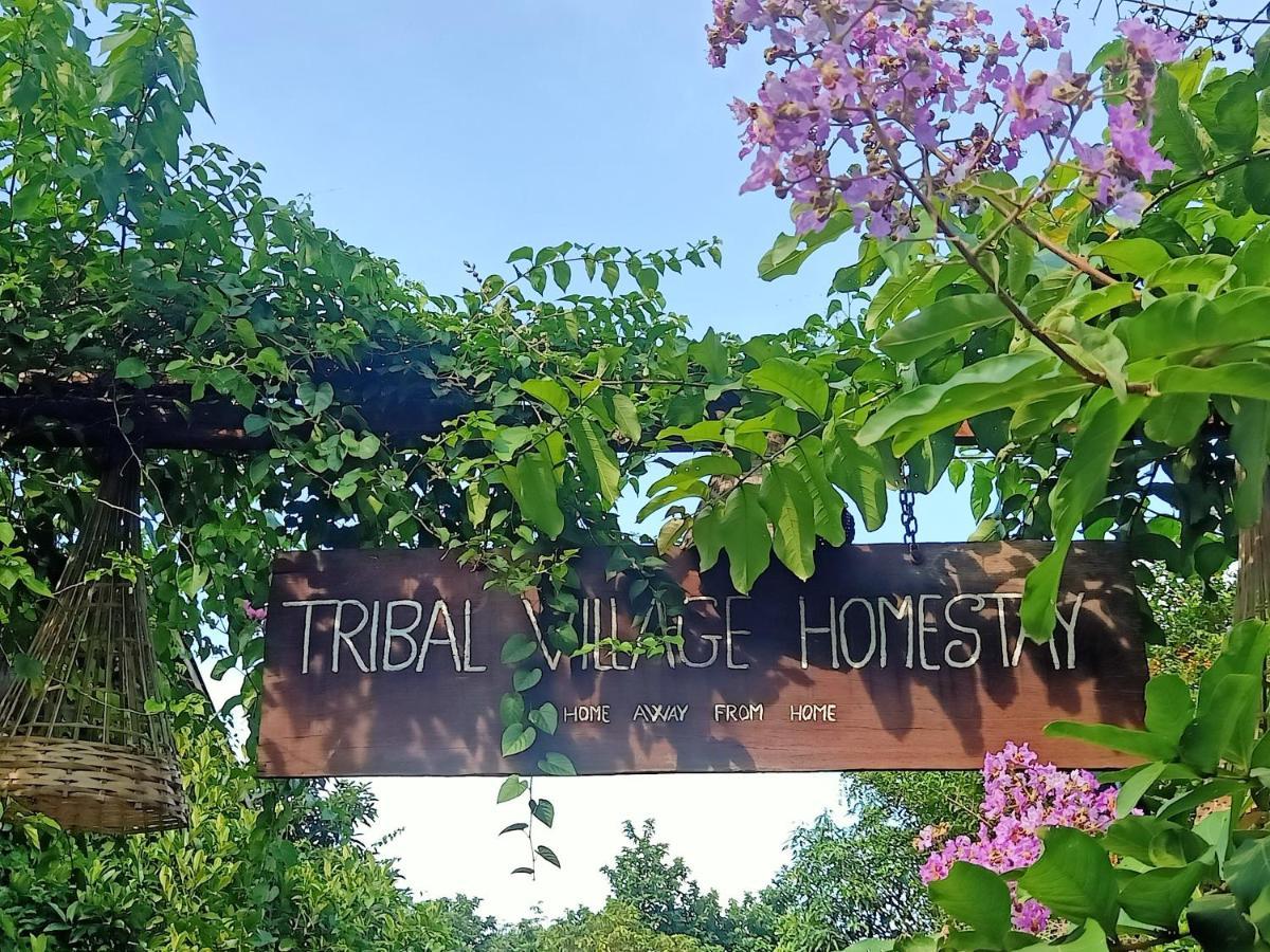 Tribal Village Homestay & Trekking Banlung Luaran gambar