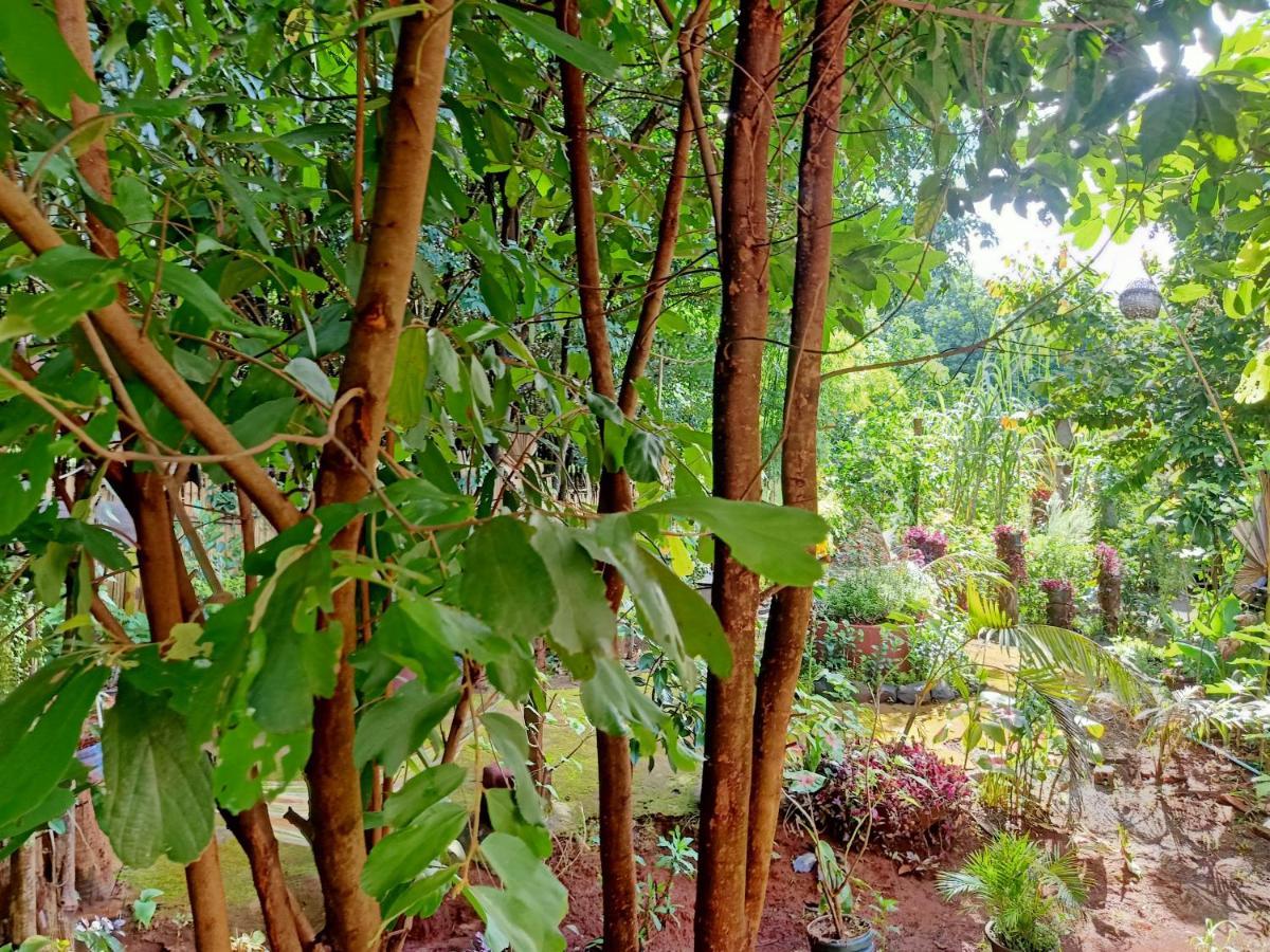 Tribal Village Homestay & Trekking Banlung Luaran gambar