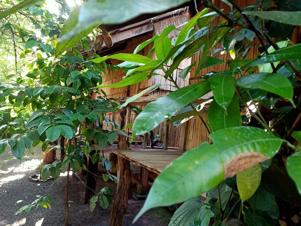 Tribal Village Homestay & Trekking Banlung Luaran gambar