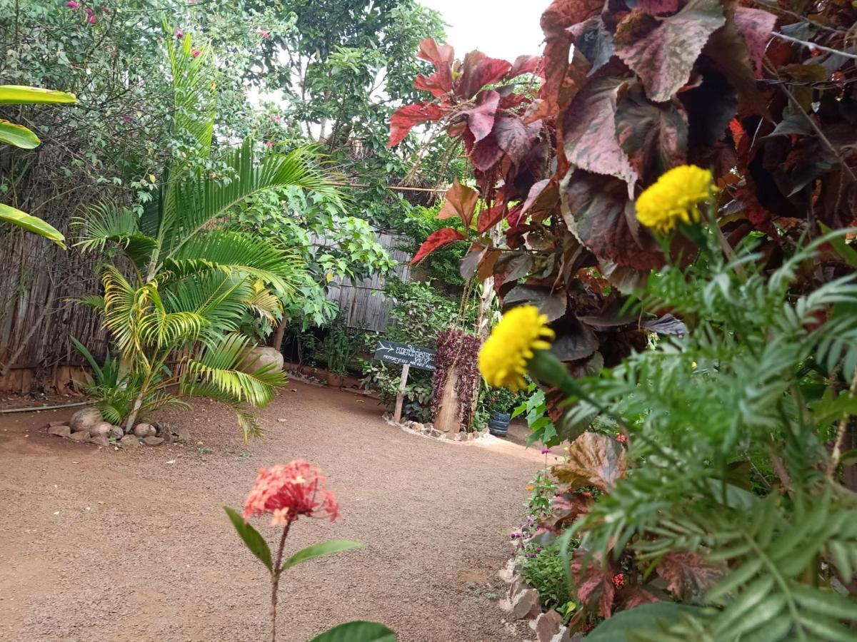 Tribal Village Homestay & Trekking Banlung Luaran gambar