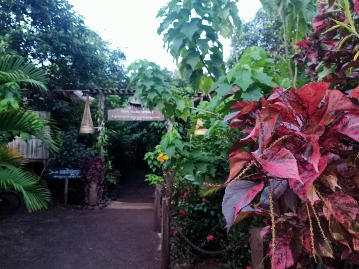 Tribal Village Homestay & Trekking Banlung Luaran gambar