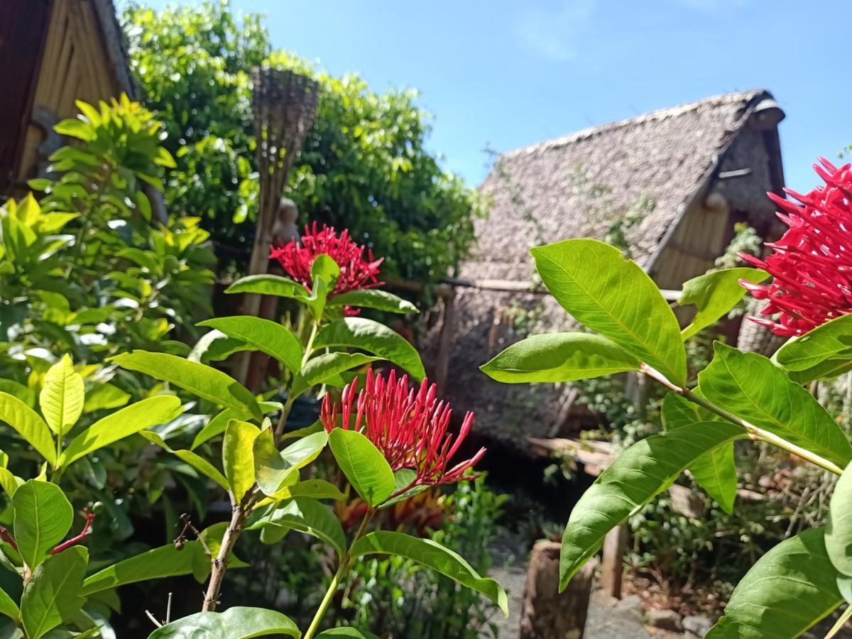 Tribal Village Homestay & Trekking Banlung Luaran gambar