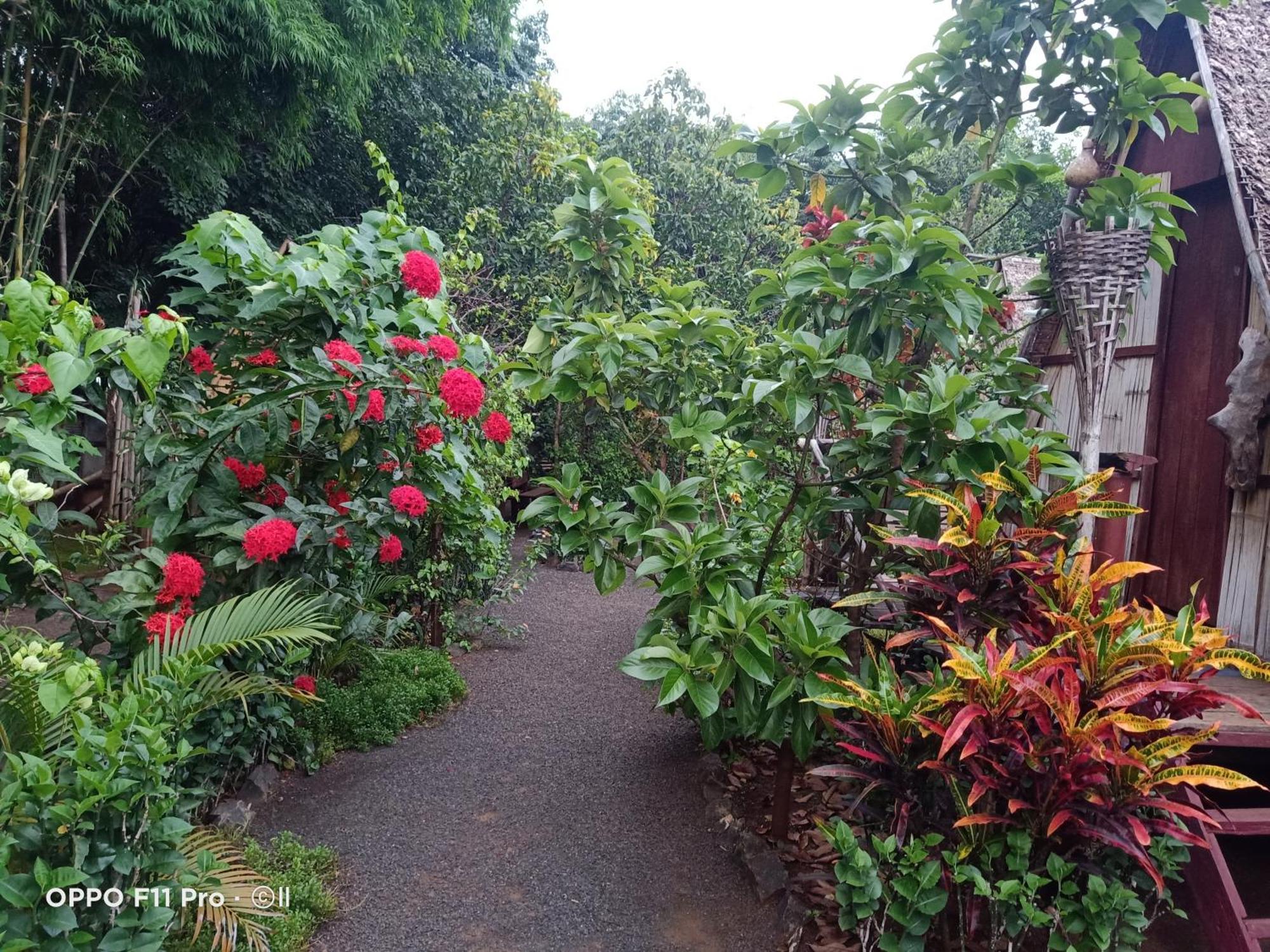 Tribal Village Homestay & Trekking Banlung Luaran gambar