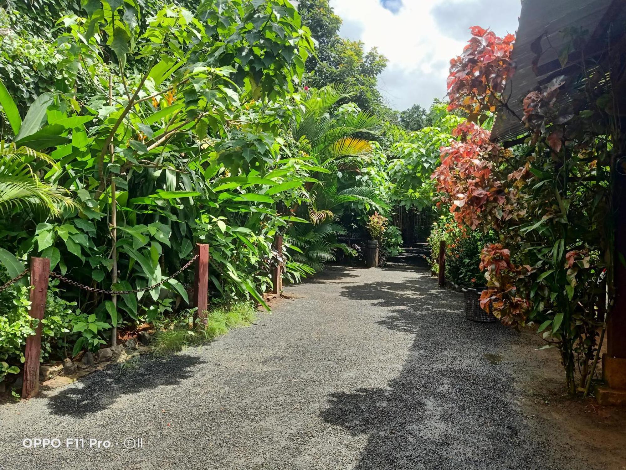 Tribal Village Homestay & Trekking Banlung Luaran gambar