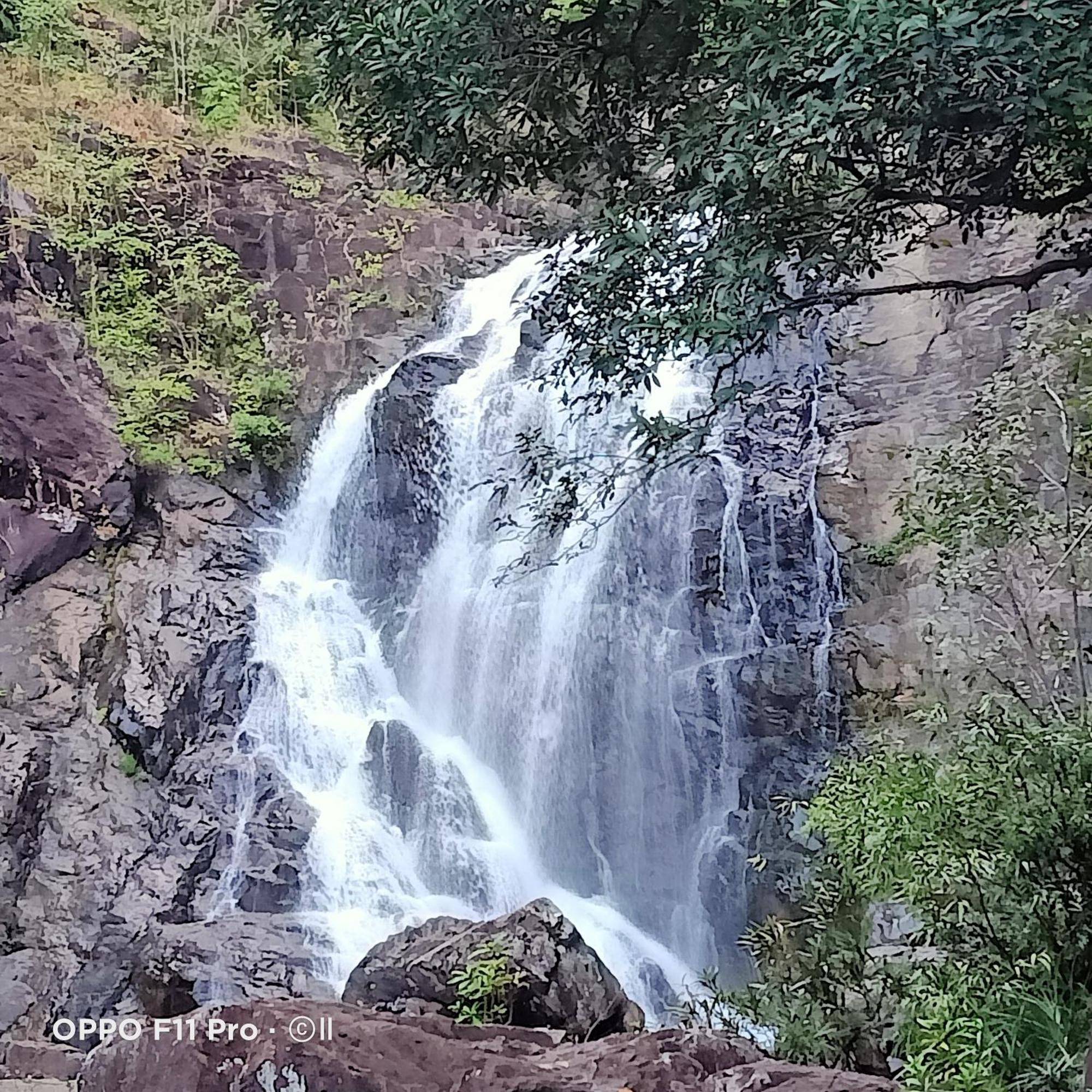 Tribal Village Homestay & Trekking Banlung Bilik gambar
