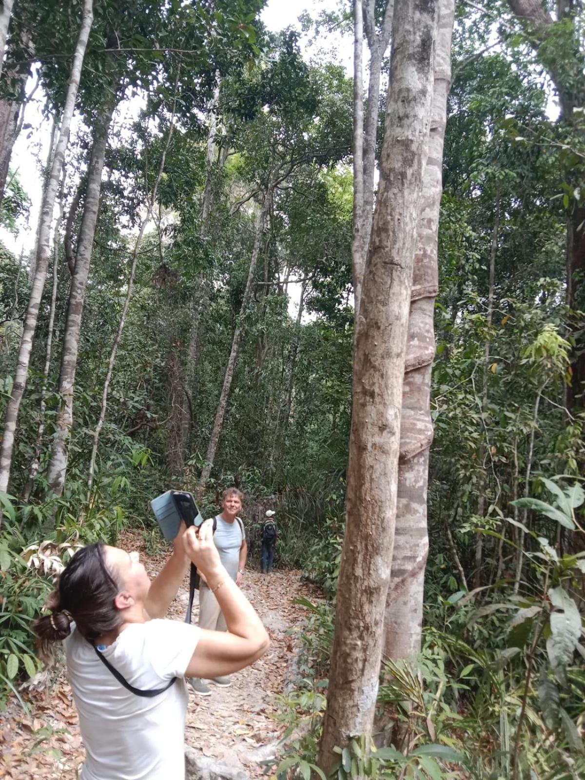Tribal Village Homestay & Trekking Banlung Luaran gambar
