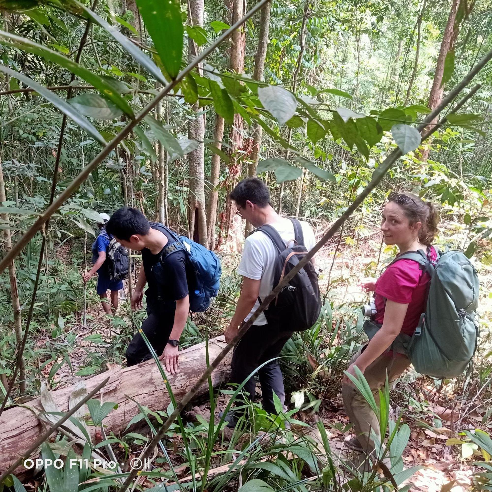 Tribal Village Homestay & Trekking Banlung Luaran gambar