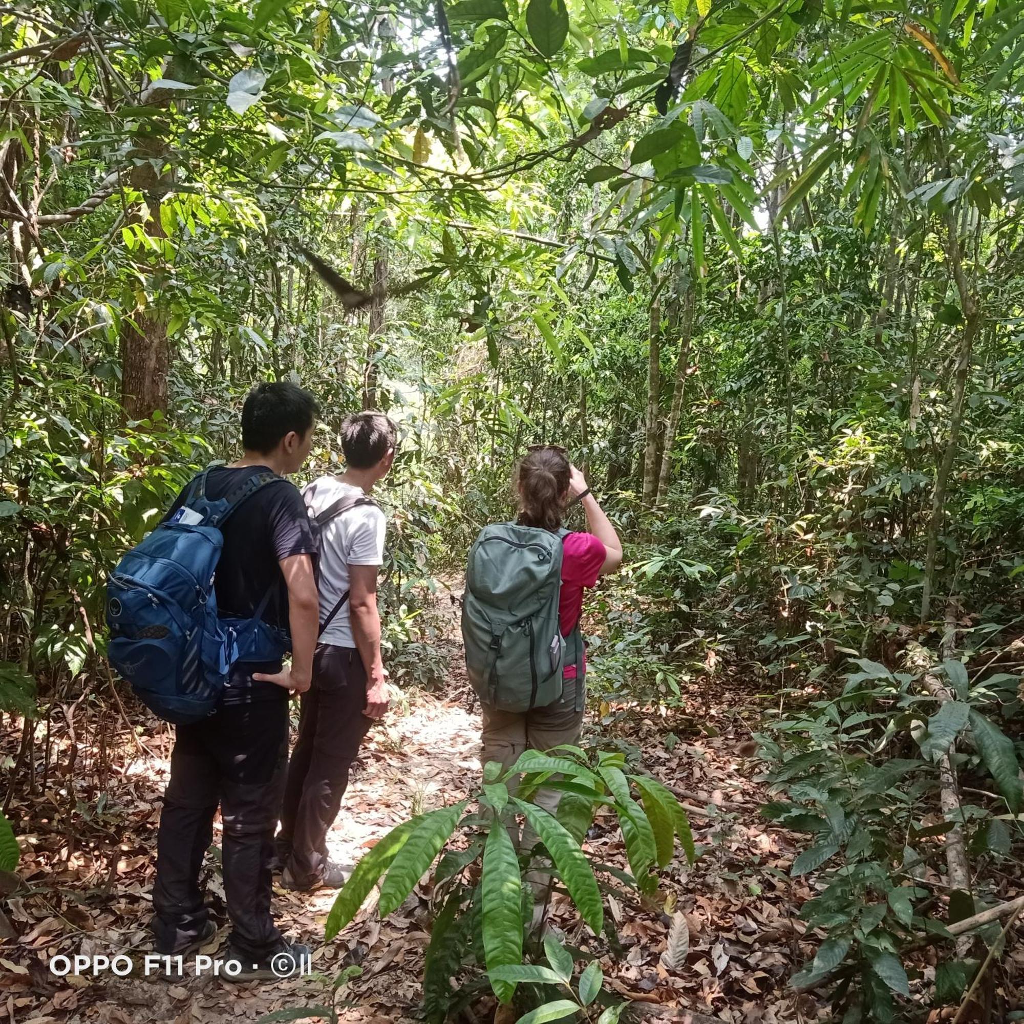 Tribal Village Homestay & Trekking Banlung Luaran gambar